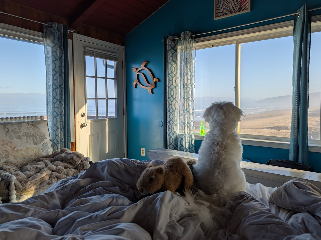 Moolack Shores Inn主图