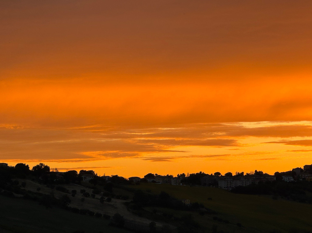 Filodivino Wine Resort & SPA主图