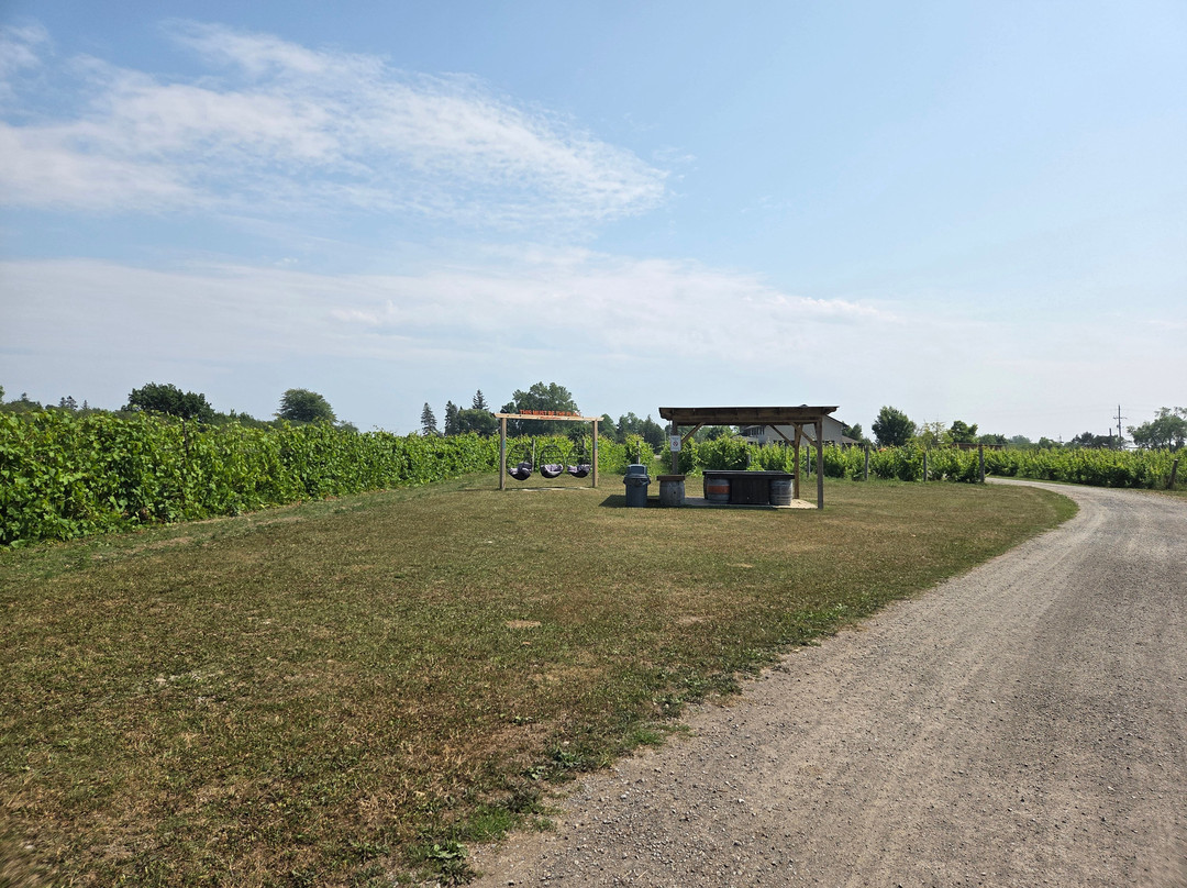 Sandbanks Estate Winery-Wellington必去景点