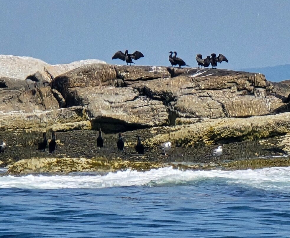 Monhegan Boat Line-Port Clyde必去景点