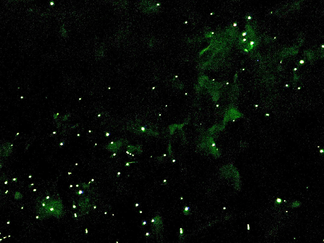 Boat Cruise Kuala Sepetang-Kuala Sepetang必去景点