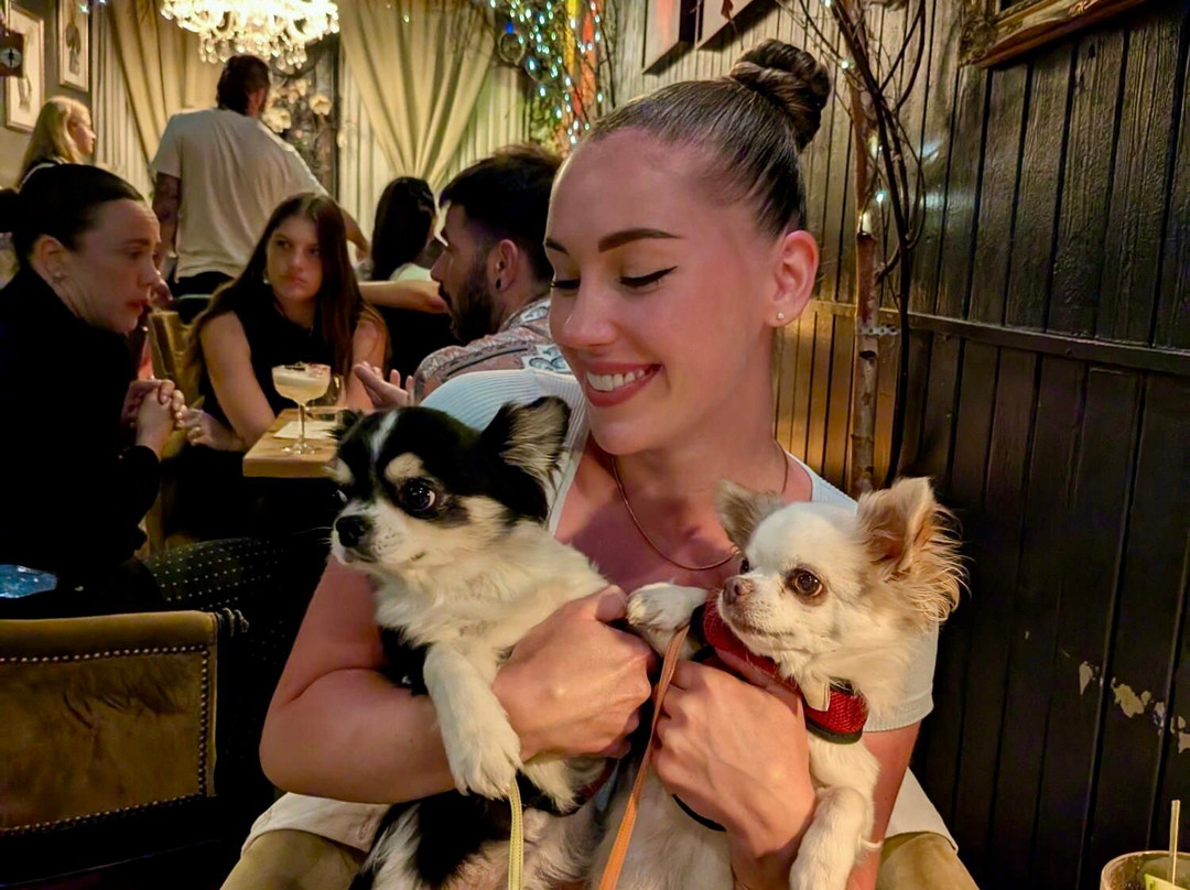 Bar Medusa-布莱顿必去景点