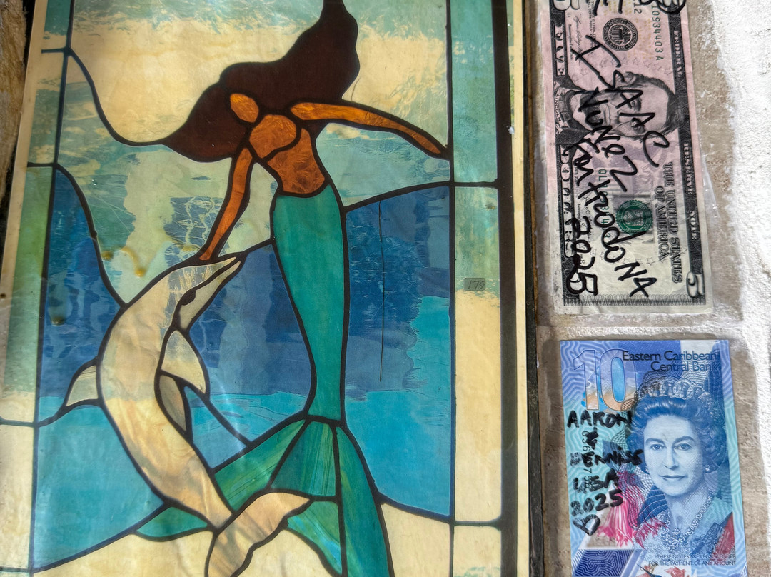 Dolphin House Museum-Alice Town必去景点