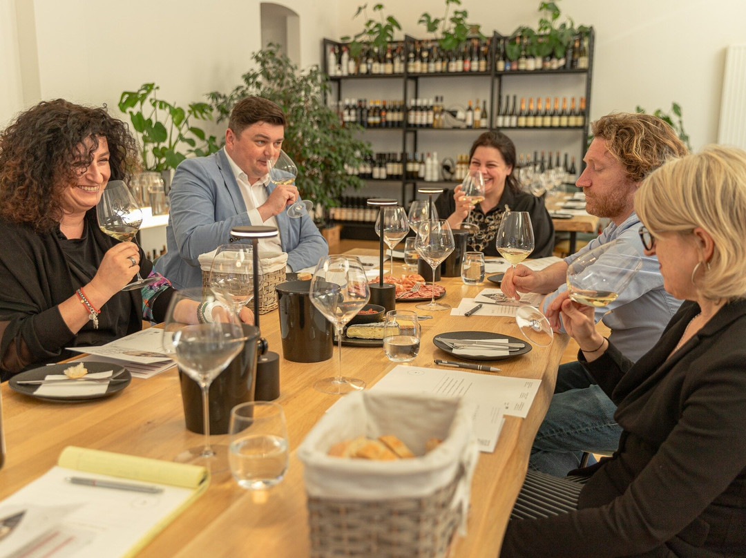 Wine Tasting Vienna-维也纳必去景点