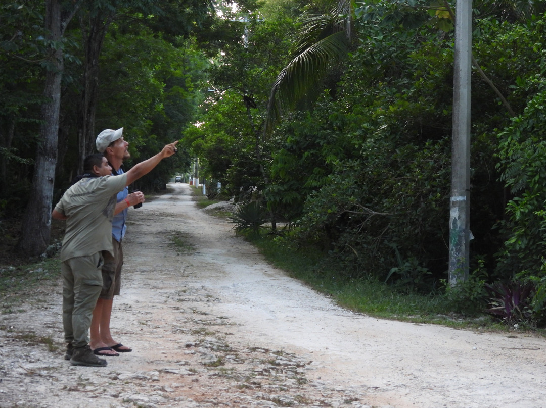 Birdwatching Tours in Sian Ka'an by Eddy-图伦必去景点