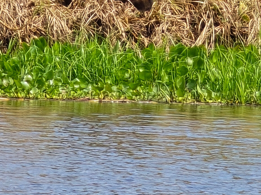 Parque Estadual Encontro das Aguas-波科内必去景点