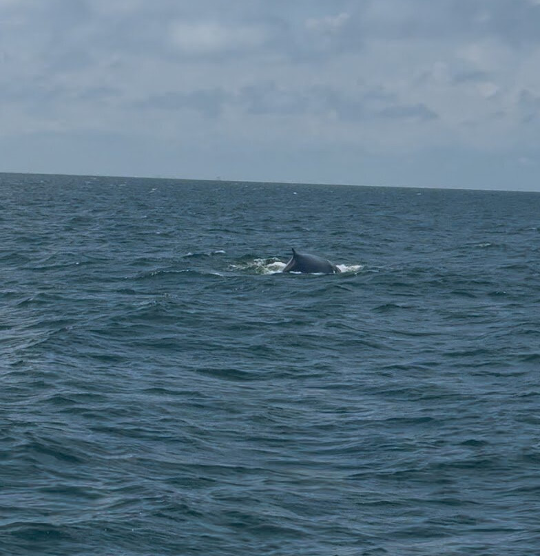 Miss  Belmar Princess-Belmar必去景点