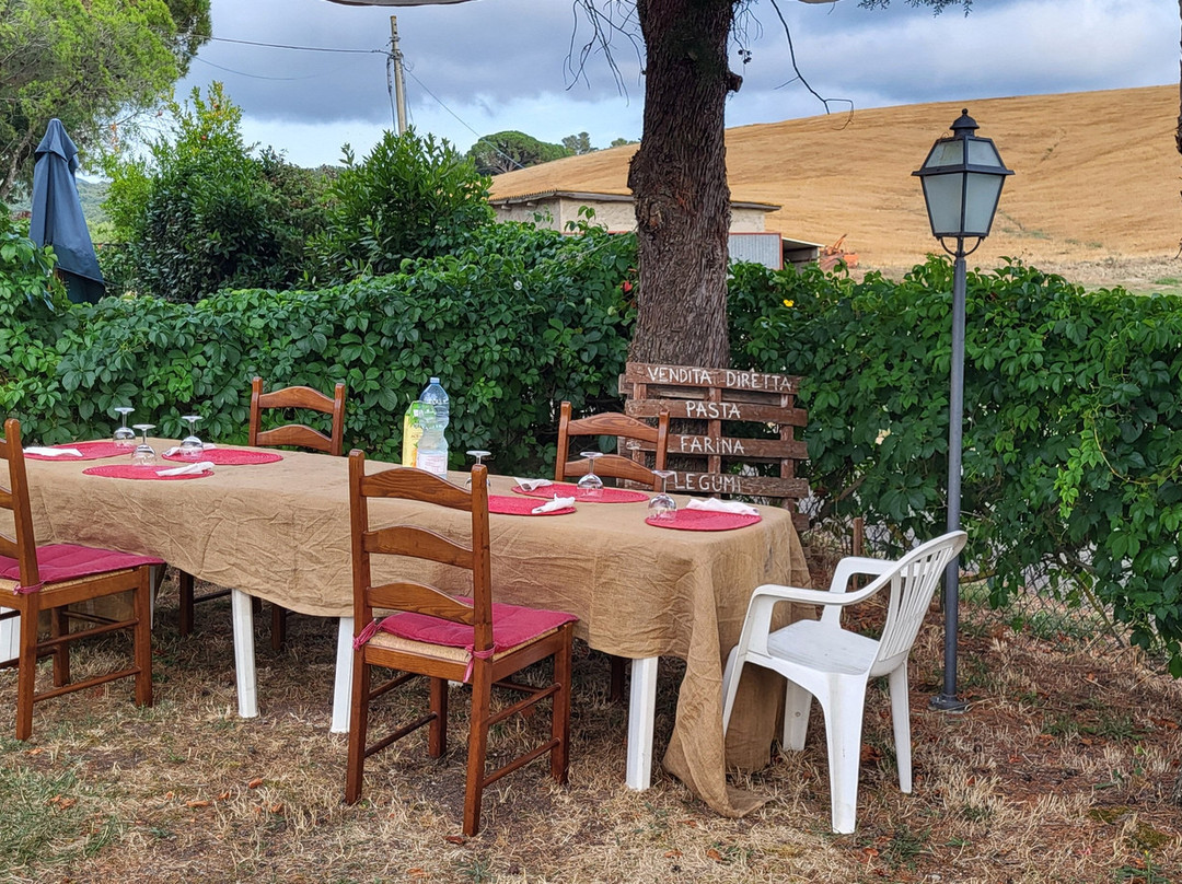 La Solitaria Pasta Farm-Montecatini Val di Cecina必去景点