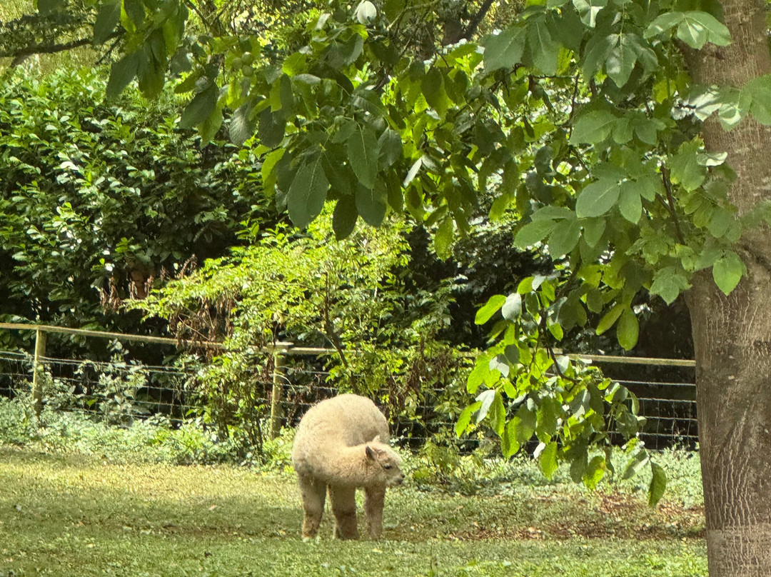Hidden Cotswold Tours-Milton-under-Wychwood必去景点