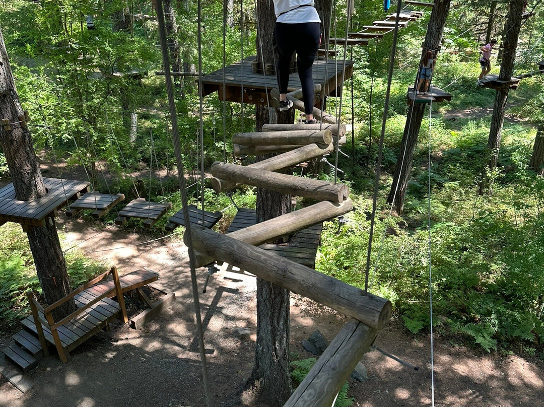 Tree to Tree Adventure Park-Gaston必去景点