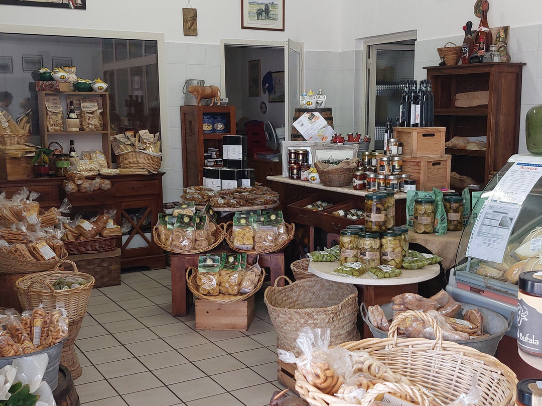 Caseificio Macchiusi Monica E Antonio-Pontinia必去景点