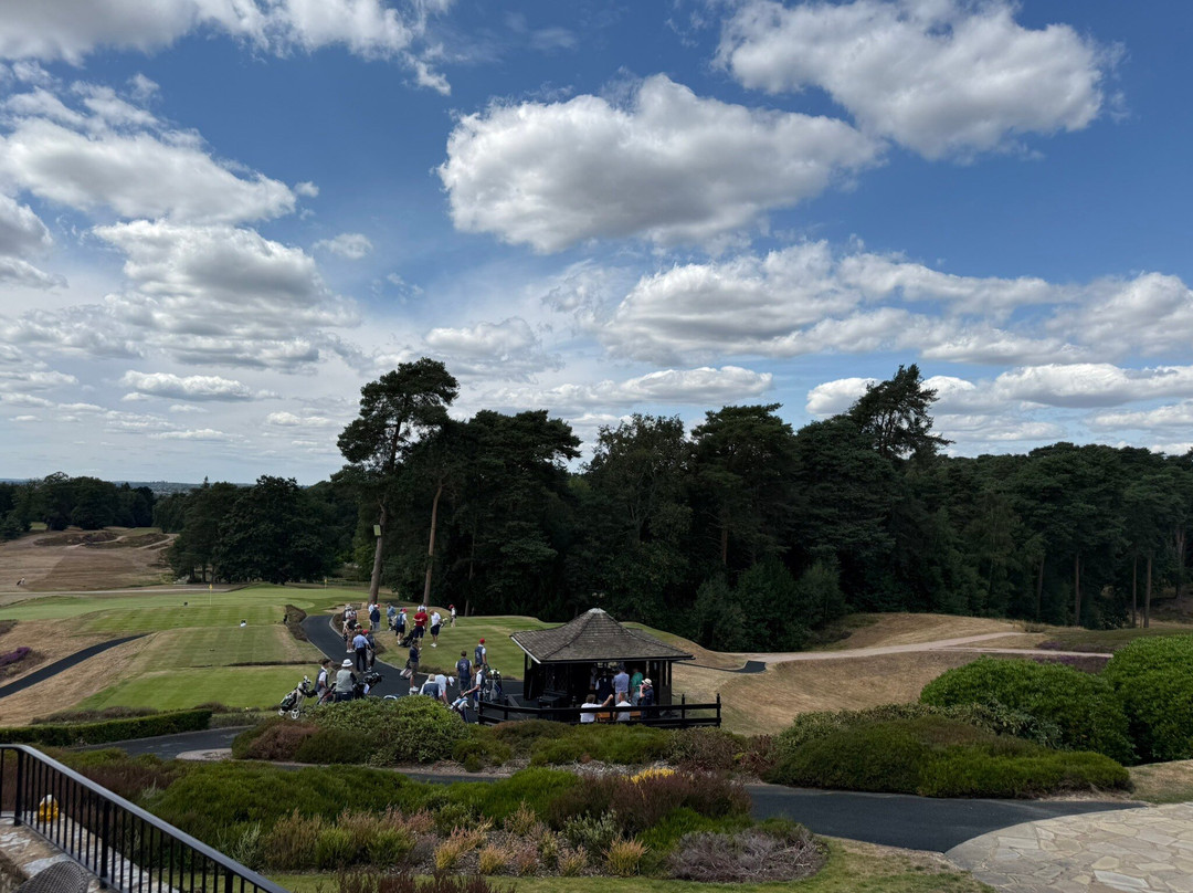 St George's Hill Golf Club-威布里治必去景点