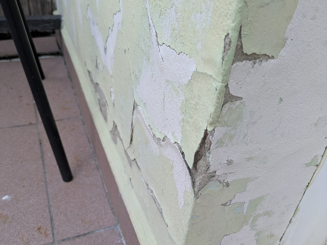 Zoldhaz Bio Panzio主图