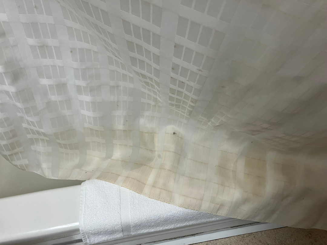 Microtel Inn & Suites by Wyndham Hazelton/Bruceton Mills主图