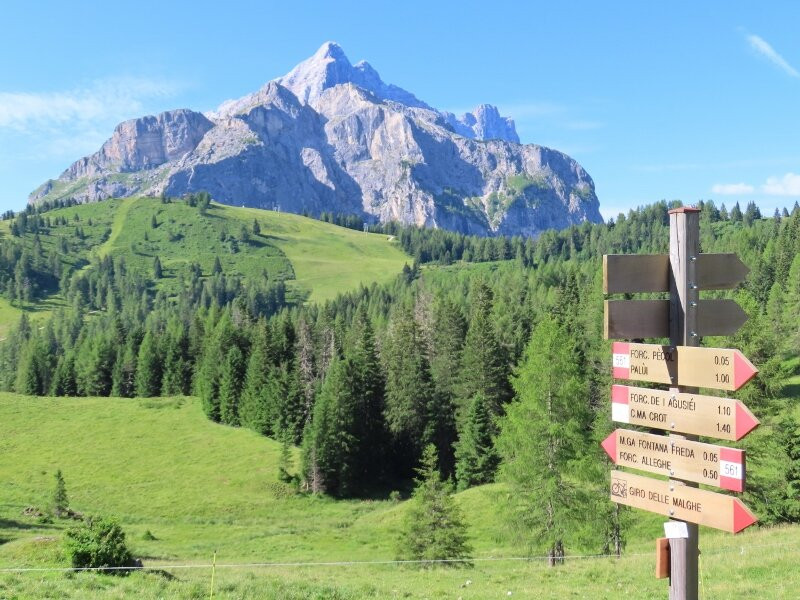 Passeggiata Giro delle Malghe-Selva di Cadore必去景点