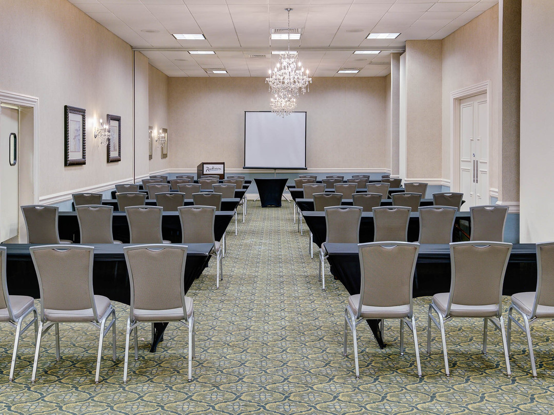 弗里霍尔德雷迪森酒店主图