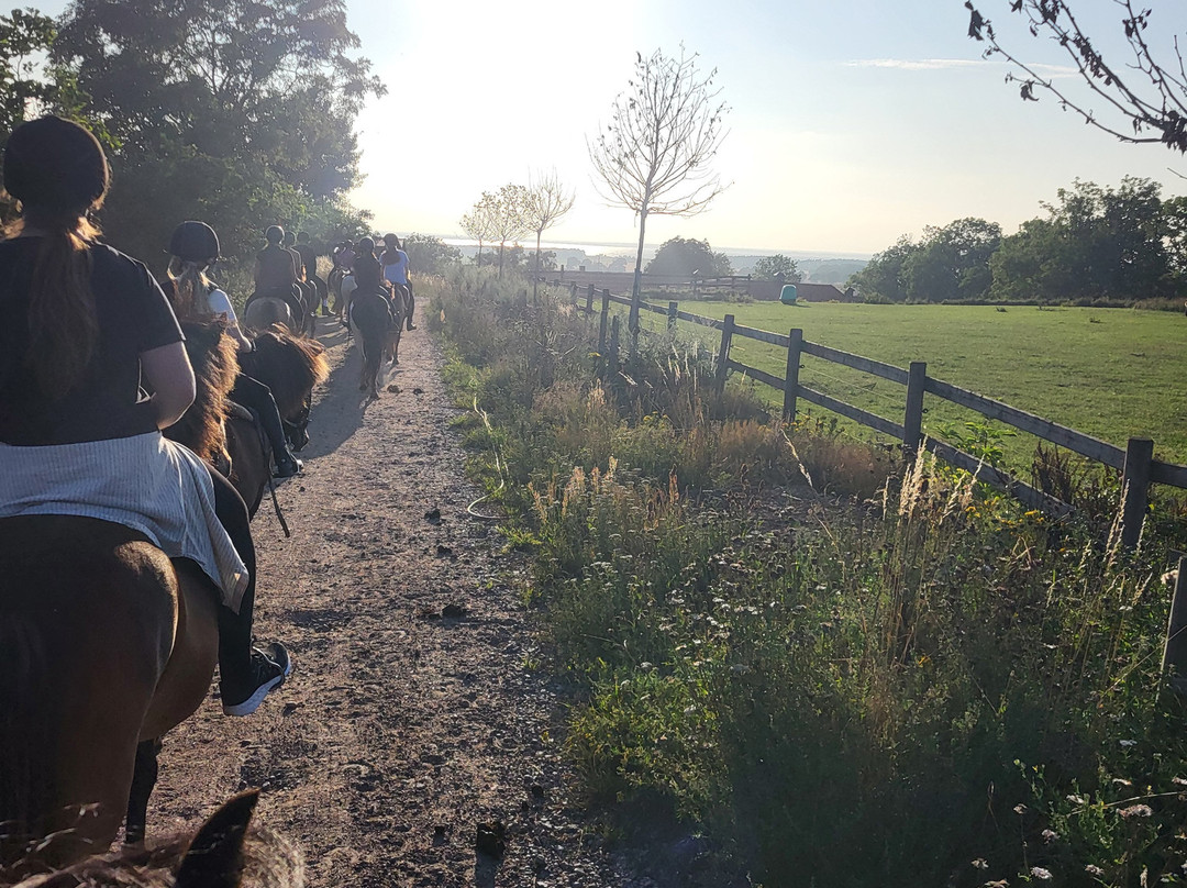 Kvarnbacka Islandshästar-Morbylanga必去景点