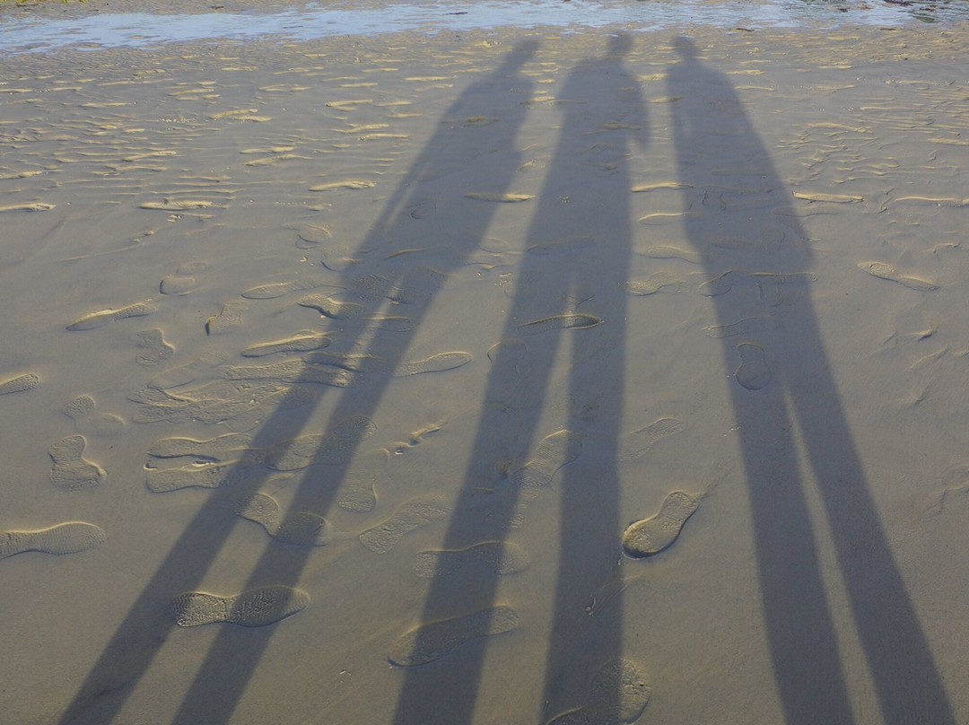 Skaket Beach-奥尔良必去景点