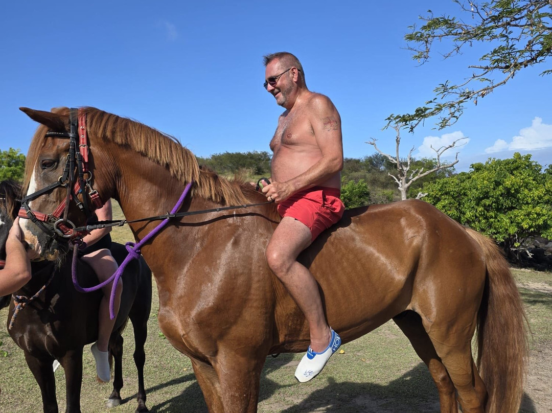 Antigua Equestrian Centre-Saint Paul Parish必去景点