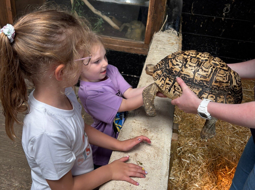 Big Sheep & Little Cow-Bedale必去景点