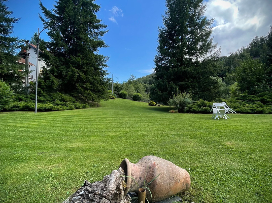 Hotel Due Ponti主图