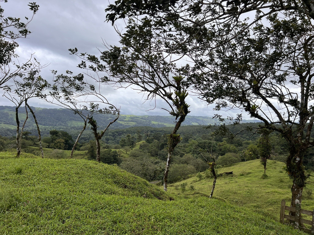 Wildlife Tours Costa Rica - Arenal-福德圣卡洛斯必去景点