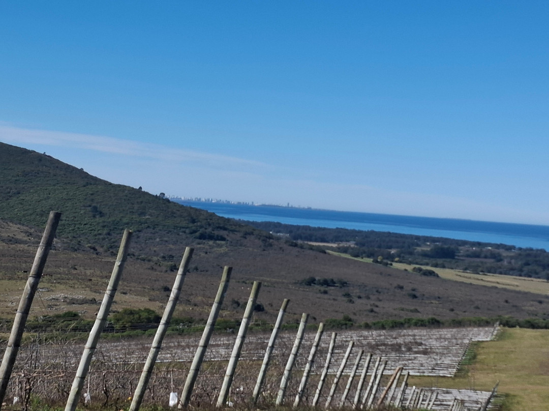 Bodega Cerro del Toro-Piriapolis必去景点