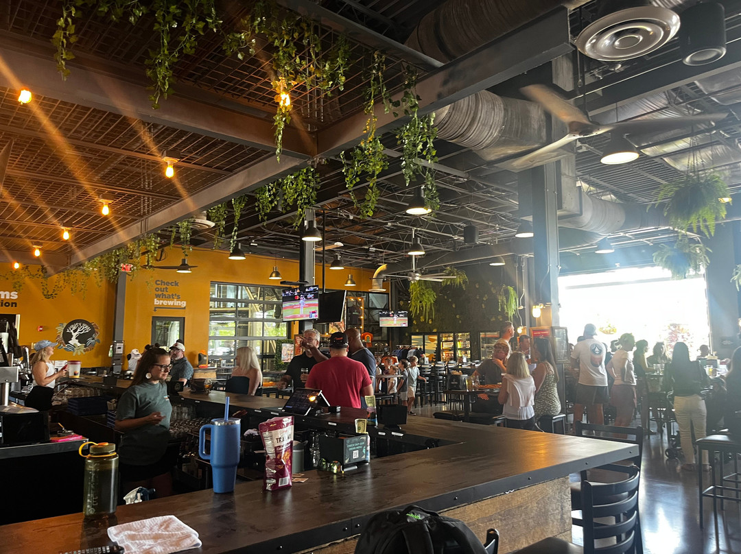 Madtree Brewing-辛辛那提必去景点