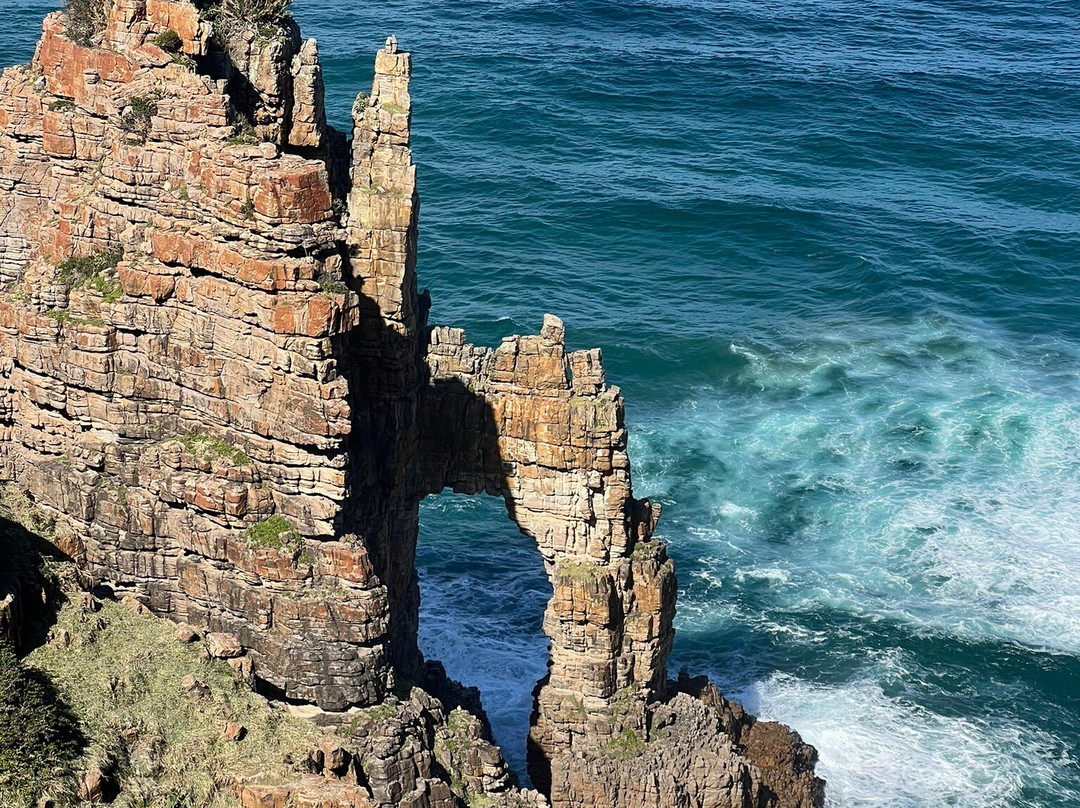 Wild Child Africa-彼得马里茨堡必去景点