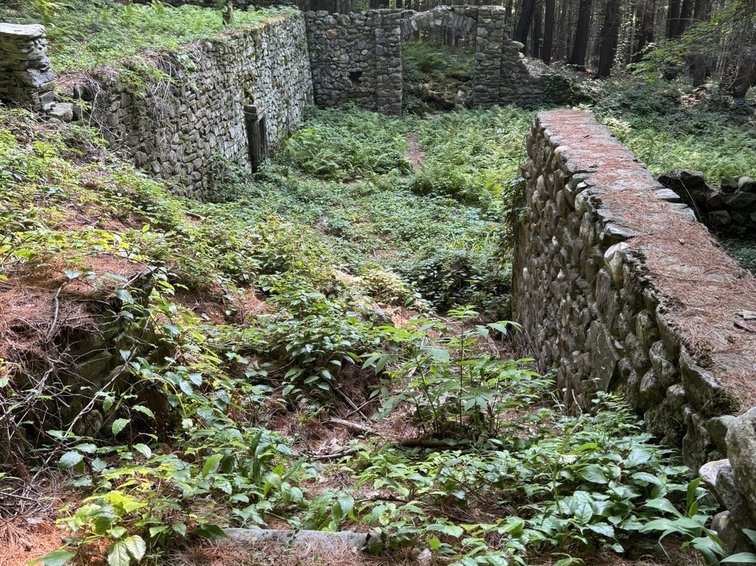 Ashintully Gardens-Tyringham必去景点