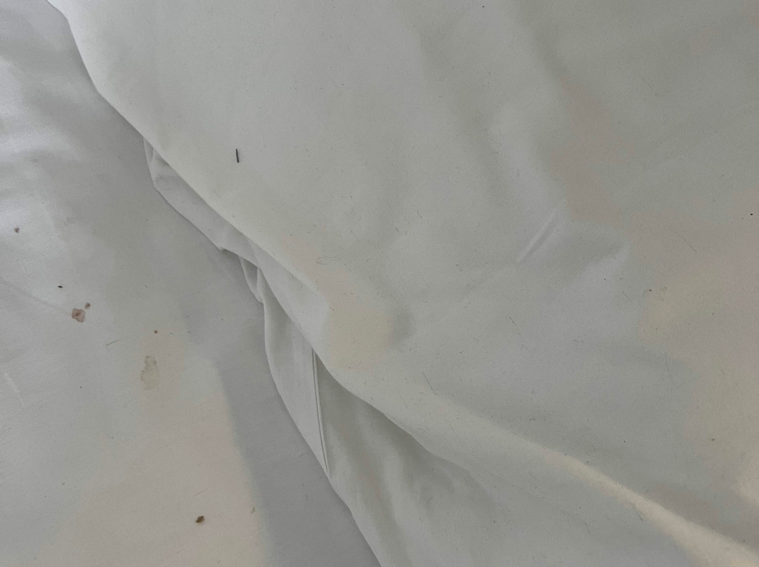 Travelodge Littlehampton Rustington主图