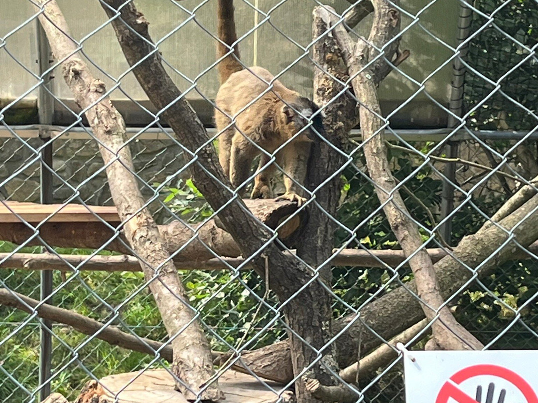 Zoopark Na Hrádečku-英吉夫必去景点