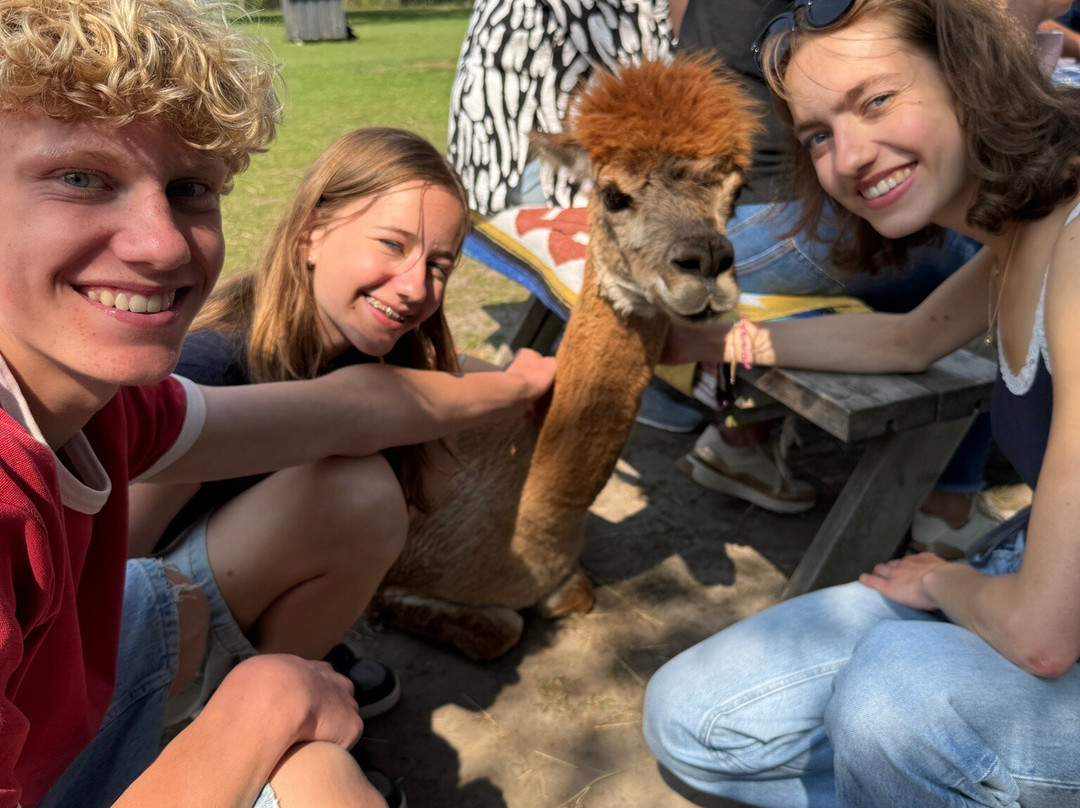 Alpaca Zeeland-Nieuwdorp必去景点