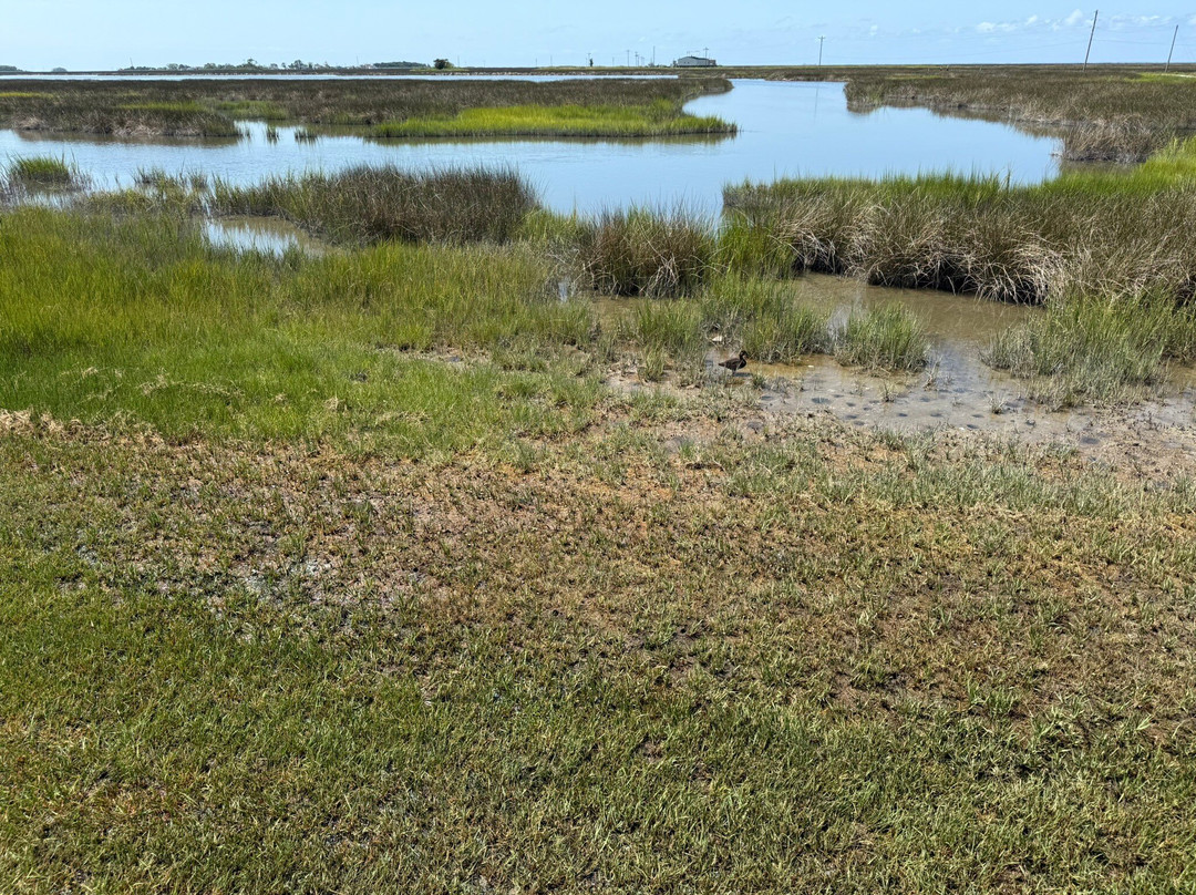 Smith Island-Crisfield必去景点