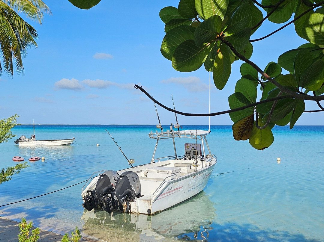 Cocoperle Lodge主图