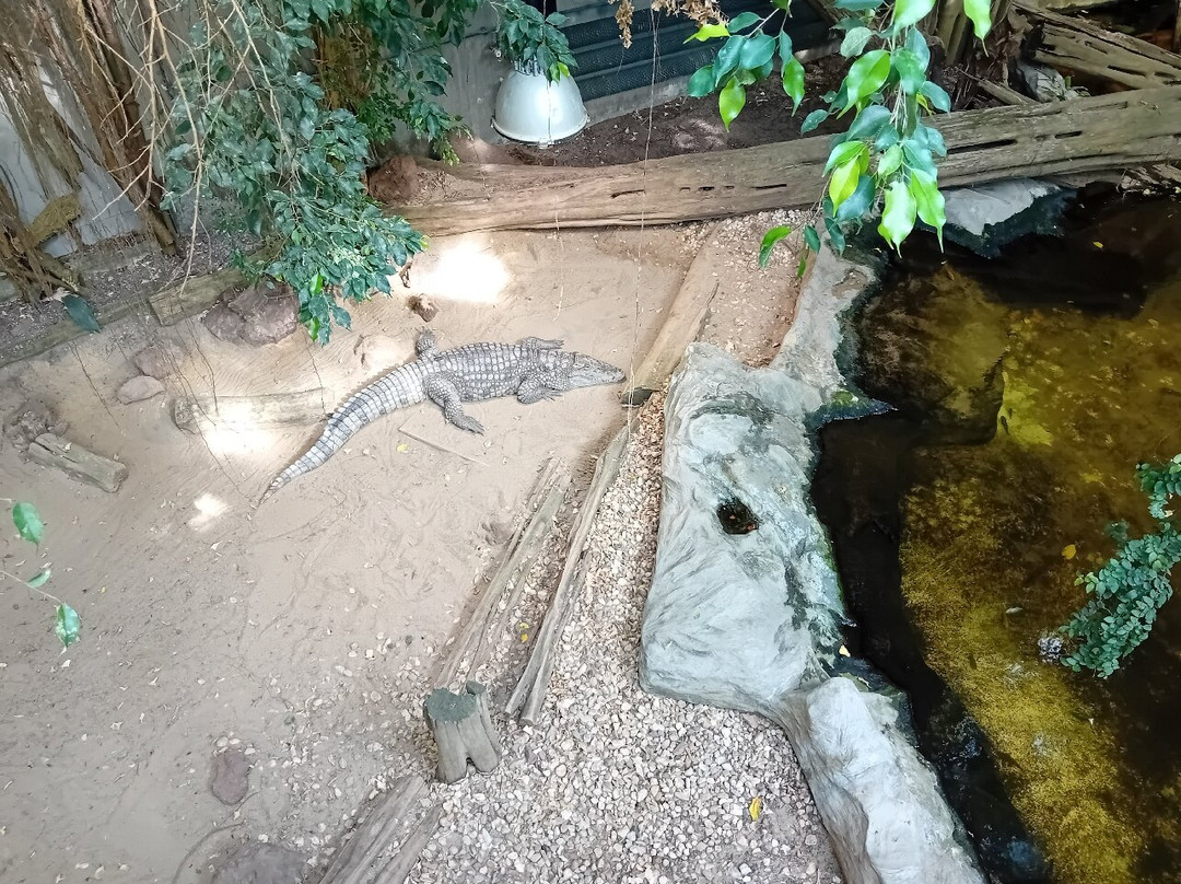 Zoo Halle (Mountain Zoo)-哈雷必去景点