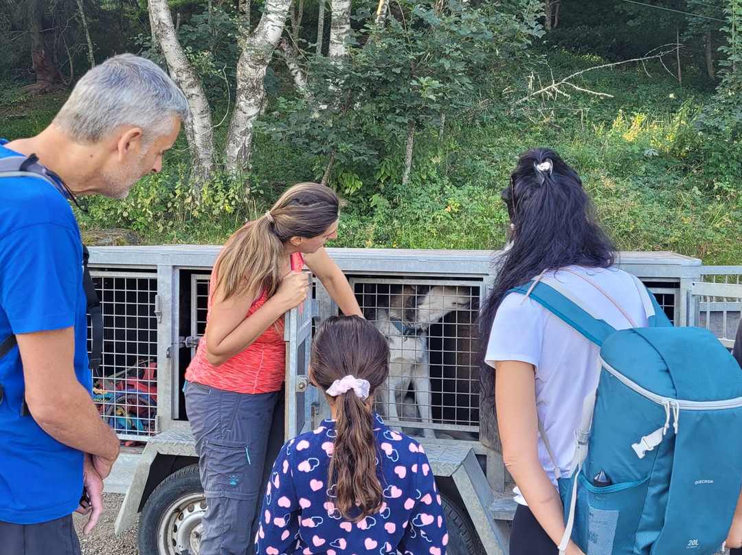 Kuma & Co-莱德萨阿尔卑斯必去景点