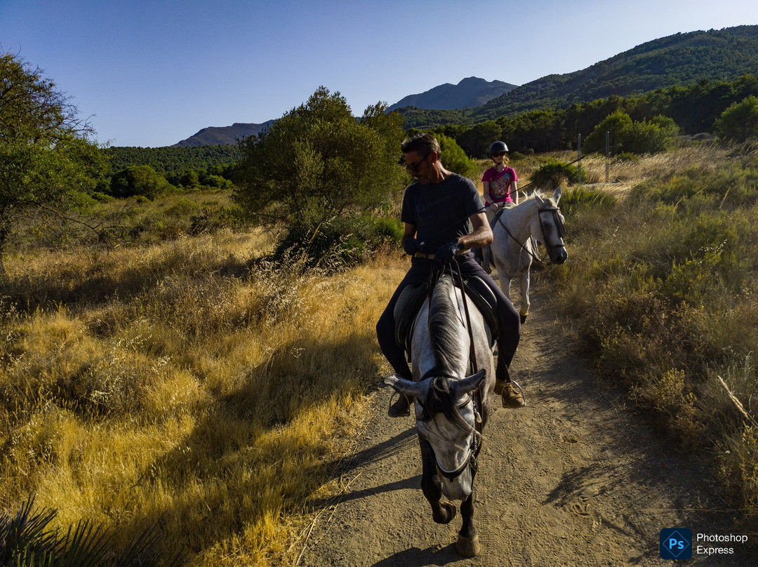 Ride With Me, Ride In Spain-Coin必去景点