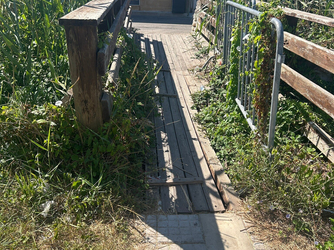 Torre - Torre Chianca-Torre Chianca必去景点