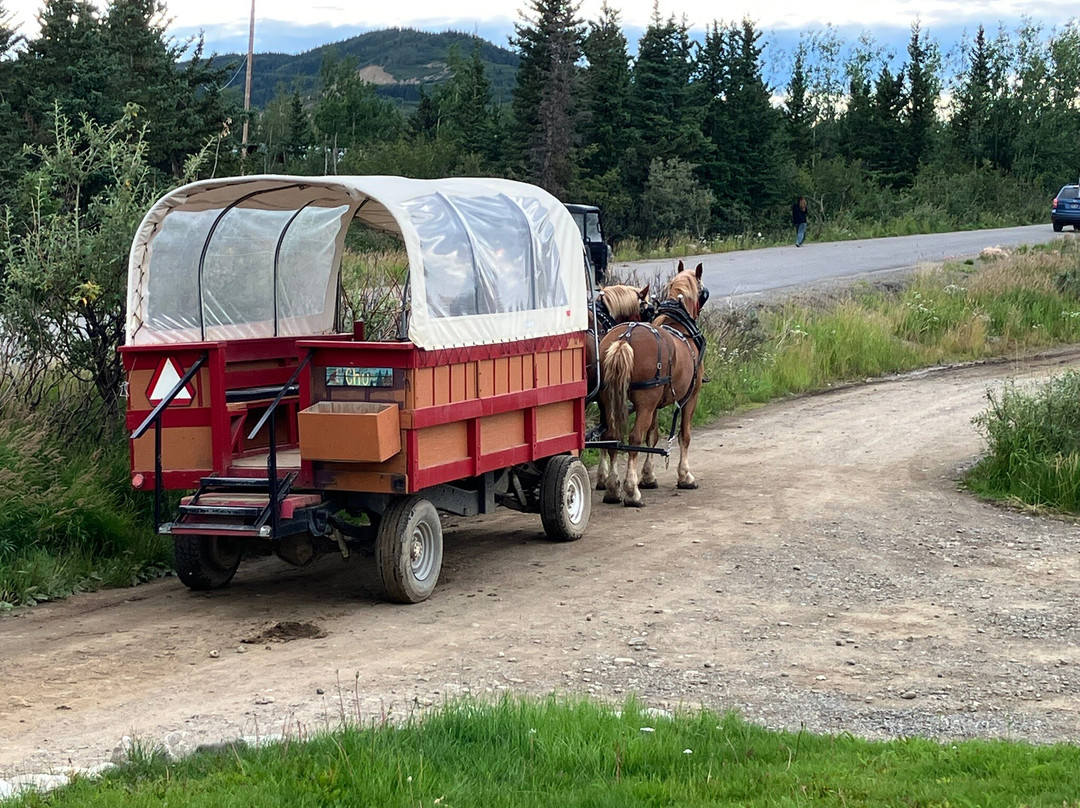 Denali Black Diamond Covered Wagon-Denali Park必去景点