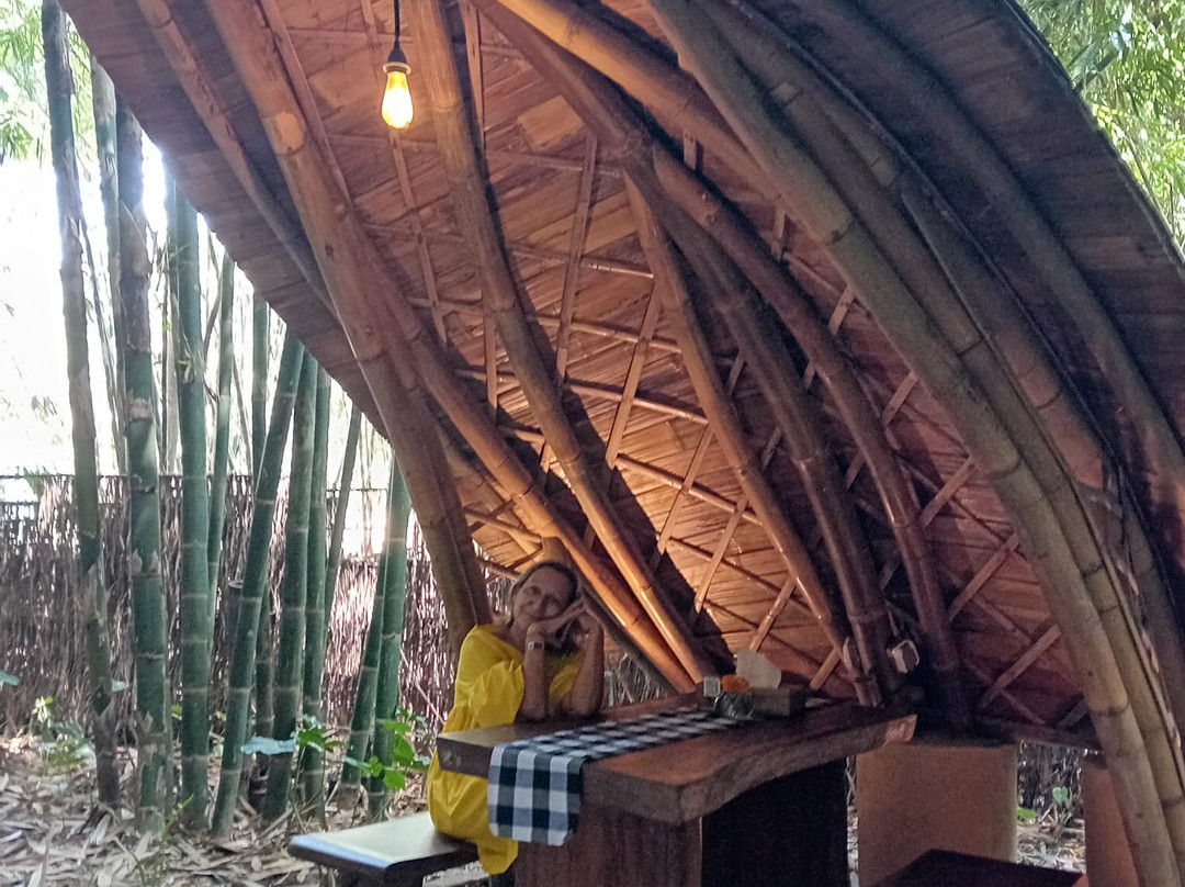 Penglipuran Bamboo Forest-Bangli必去景点