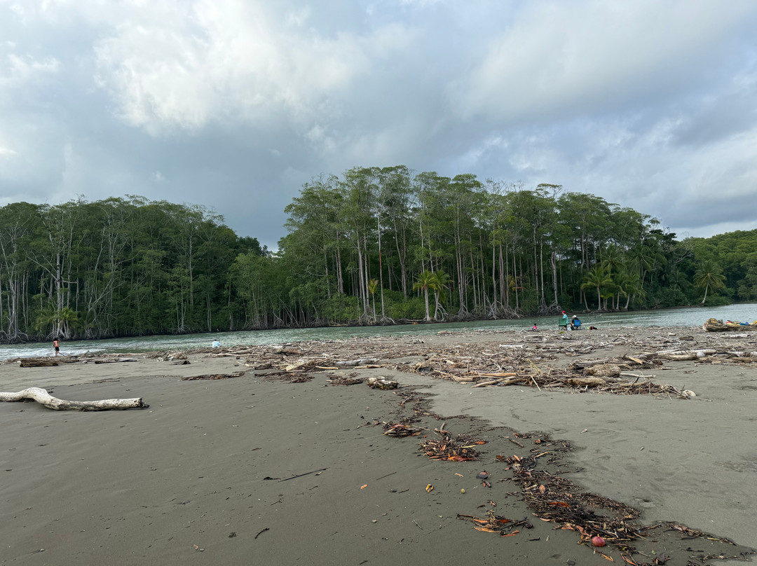 Pineapple Tours-主日镇必去景点
