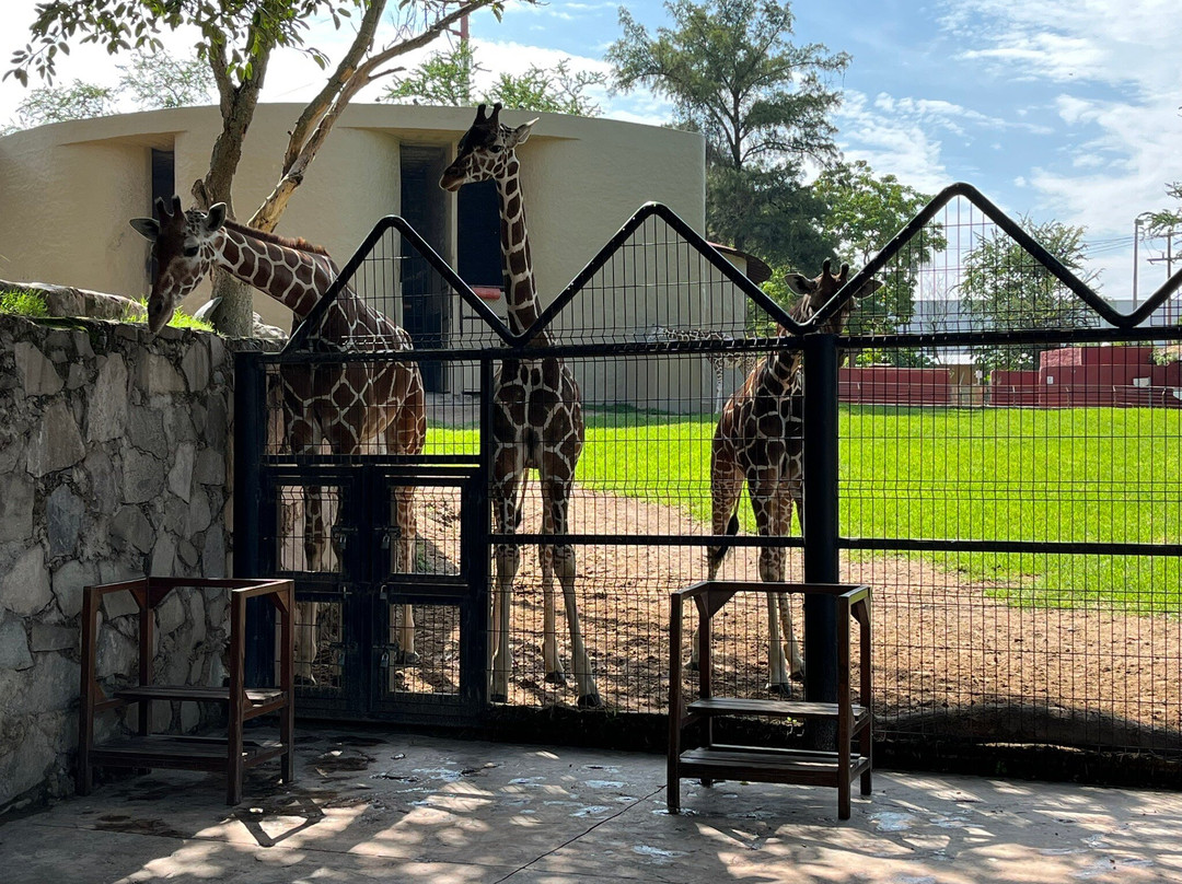 Zoológico Guadalajara-瓜达拉哈拉必去景点