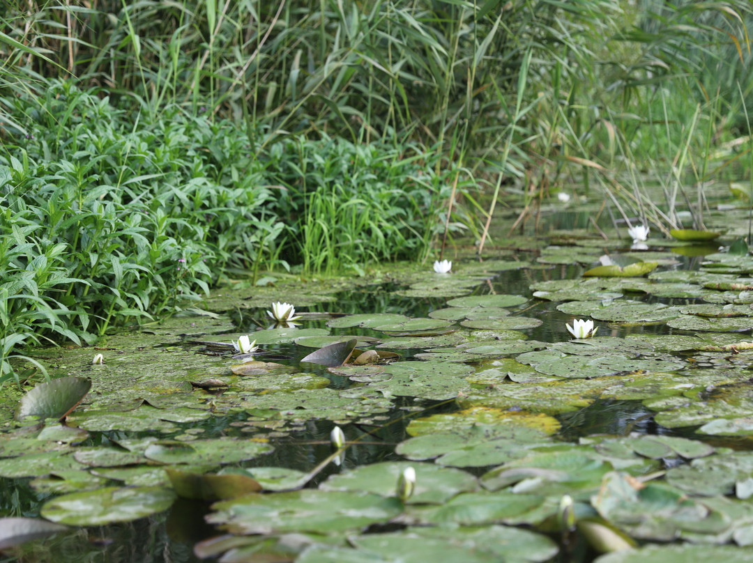 Naturreisen MV-Ostseebad Prerow必去景点