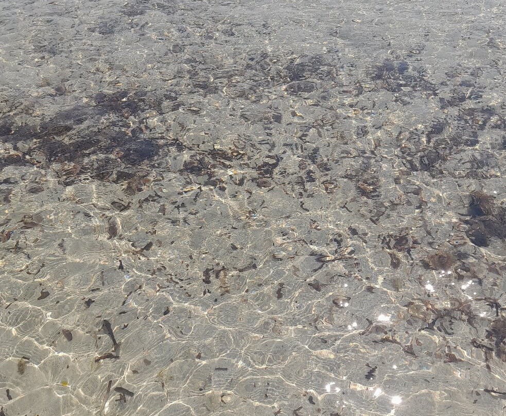Rottacapozza Beach-Lido Marini必去景点
