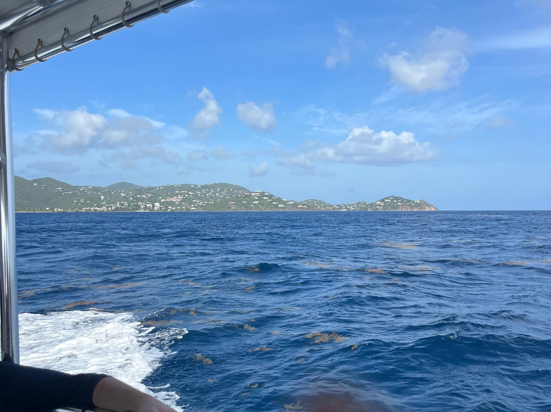 Ocean Surfari Charters-Red Hook必去景点