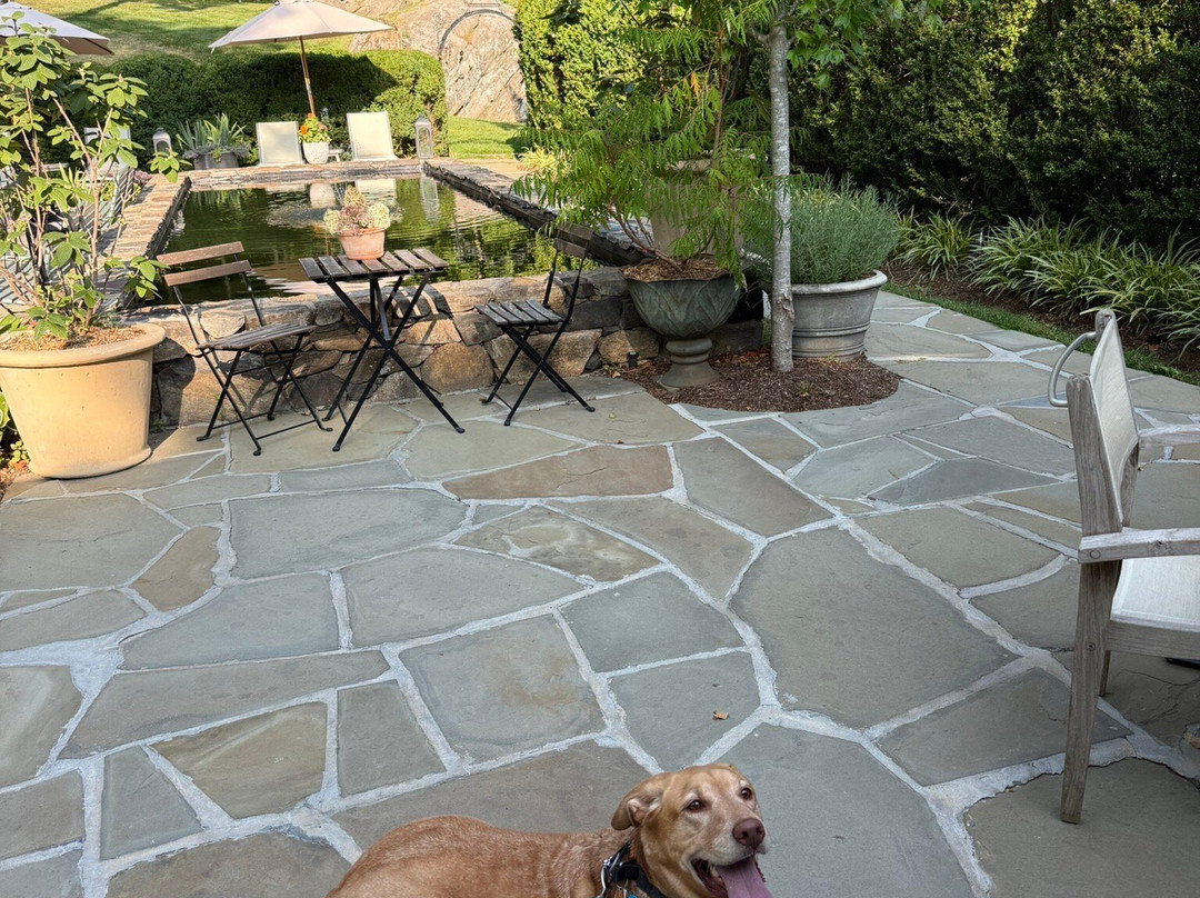 Bedford Post Inn主图