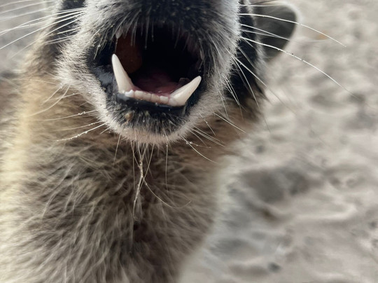 Oleta River Outdoor Center-北迈阿密海滩必去景点