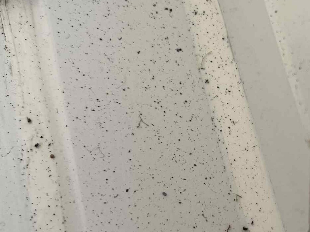 Travelodge Cardiff Llanedeyrn主图