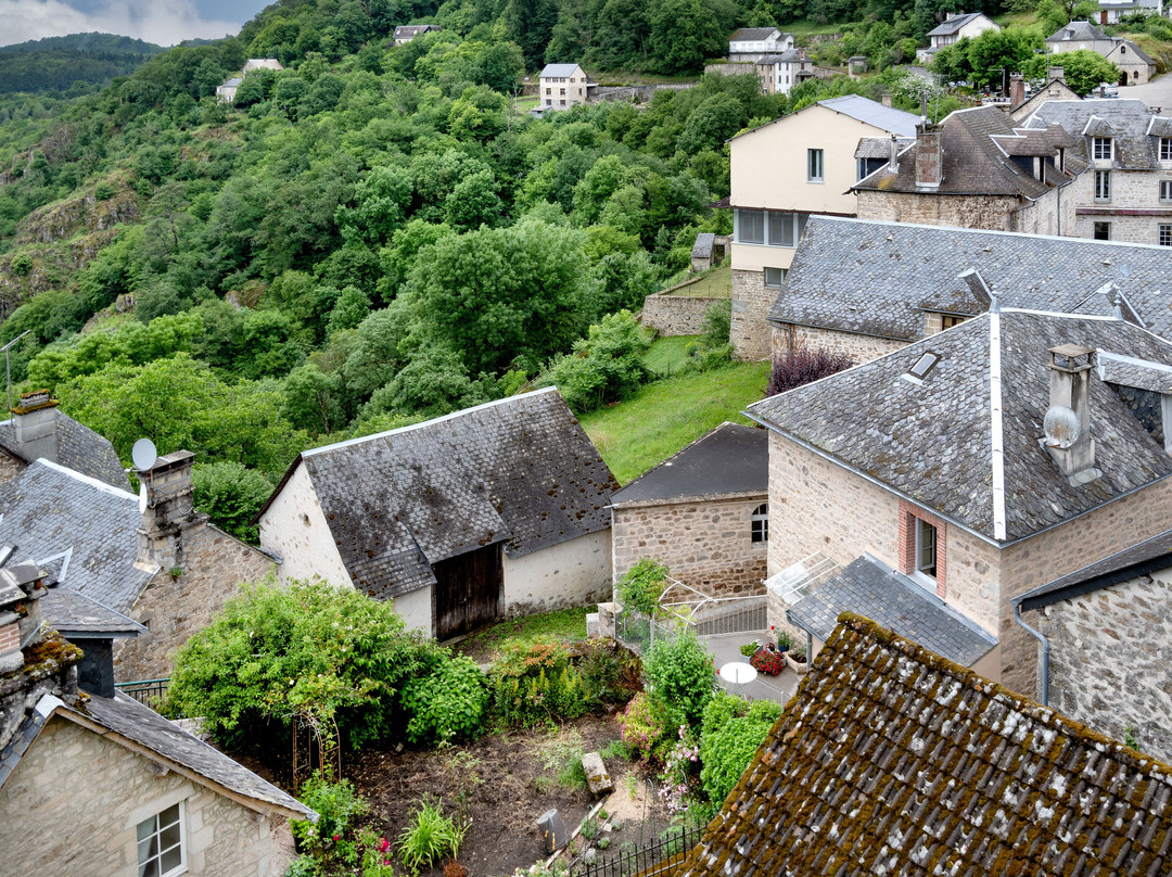 Ruines Château De La Roche Haute